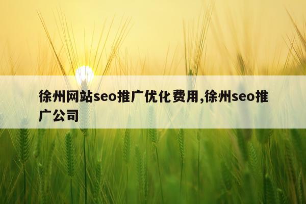 徐州网站seo推广优化费用,徐州seo推广公司