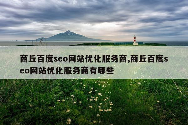 商丘百度seo网站优化服务商,商丘百度seo网站优化服务商有哪些