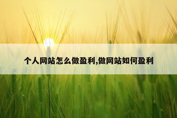 个人网站怎么做盈利,做网站如何盈利