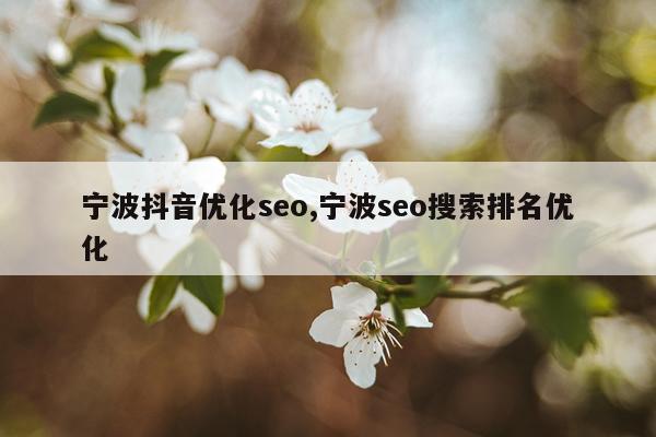 宁波抖音优化seo,宁波seo搜索排名优化