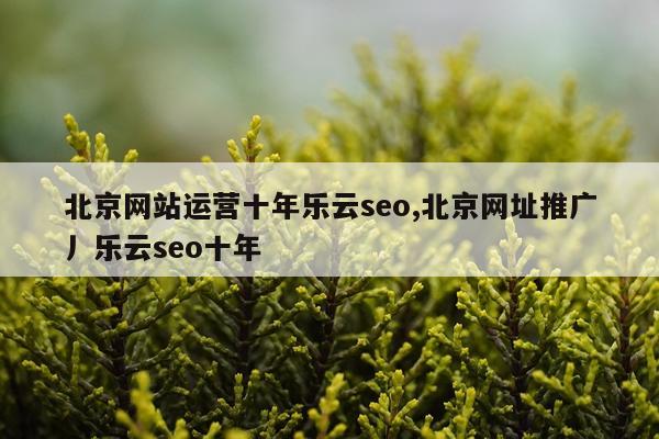 北京网站运营十年乐云seo,北京网址推广丿乐云seo十年