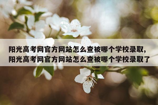 阳光高考网官方网站怎么查被哪个学校录取,阳光高考网官方网站怎么查被哪个学校录取了