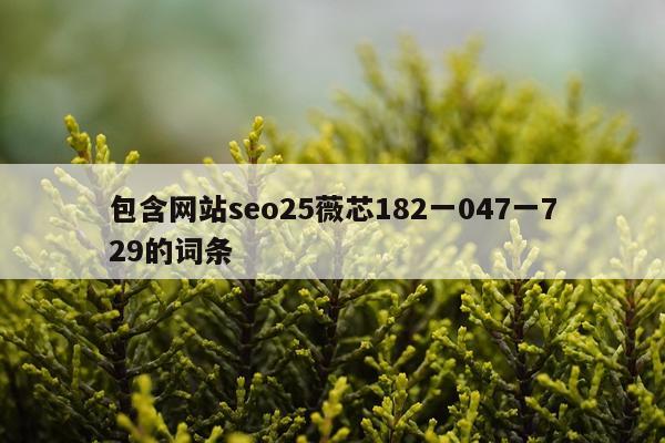 包含网站seo25薇芯182一047一729的词条