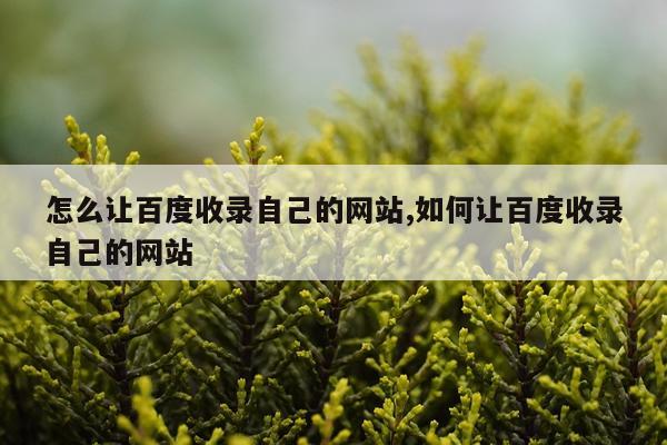 怎么让百度收录自己的网站,如何让百度收录自己的网站