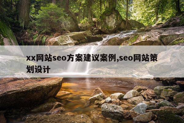 xx网站seo方案建议案例,seo网站策划设计