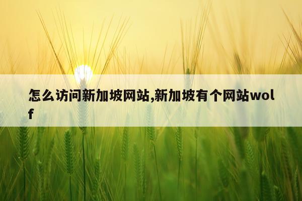 怎么访问新加坡网站,新加坡有个网站wolf