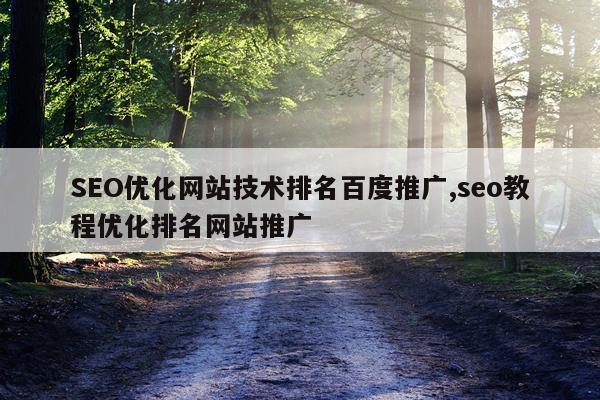 SEO优化网站技术排名百度推广,seo教程优化排名网站推广