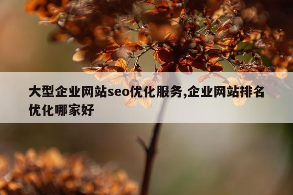 大型企业网站seo优化服务,企业网站排名优化哪家好