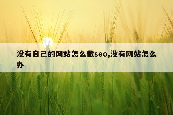 没有自己的网站怎么做seo,没有网站怎么办