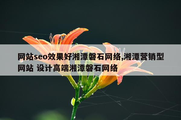 网站seo效果好湘潭磐石网络,湘潭营销型网站 设计高端湘潭磐石网络