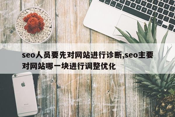 seo人员要先对网站进行诊断,seo主要对网站哪一块进行调整优化