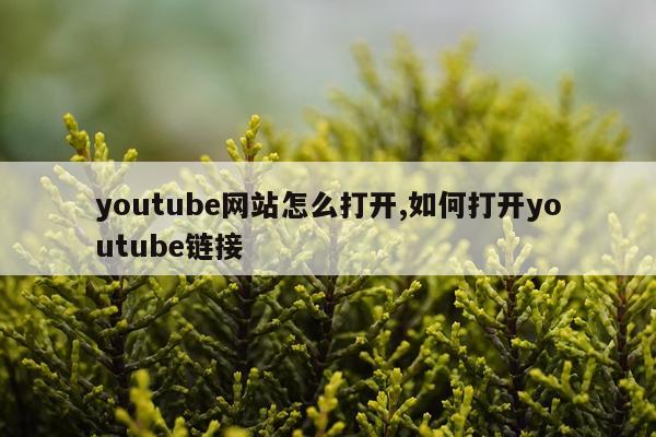 youtube网站怎么打开,如何打开youtube链接