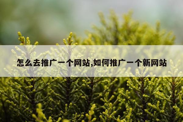 怎么去推广一个网站,如何推广一个新网站