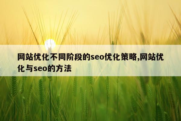 网站优化不同阶段的seo优化策略,网站优化与seo的方法