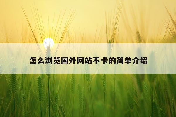 怎么浏览国外网站不卡的简单介绍