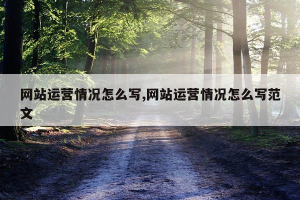 网站运营情况怎么写,网站运营情况怎么写范文