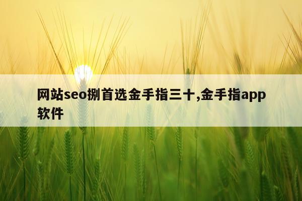网站seo捌首选金手指三十,金手指app软件