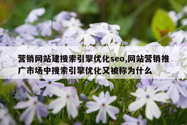 营销网站建搜索引擎优化seo,网站营销推广市场中搜索引擎优化又被称为什么