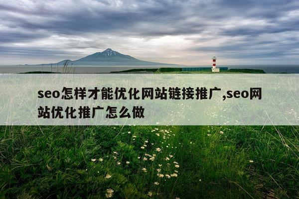 seo怎样才能优化网站链接推广,seo网站优化推广怎么做