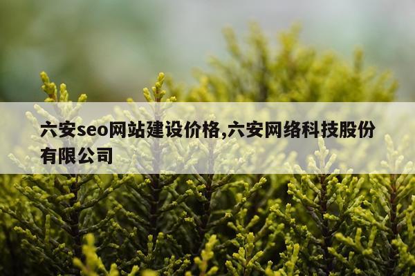 六安seo网站建设价格,六安网络科技股份有限公司
