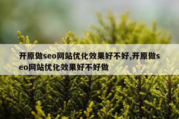 开原做seo网站优化效果好不好,开原做seo网站优化效果好不好做