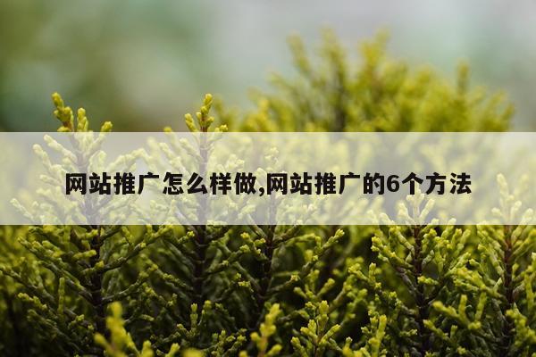 网站推广怎么样做,网站推广的6个方法