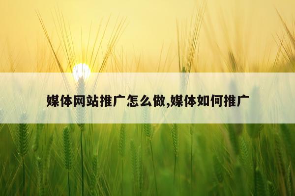 媒体网站推广怎么做,媒体如何推广