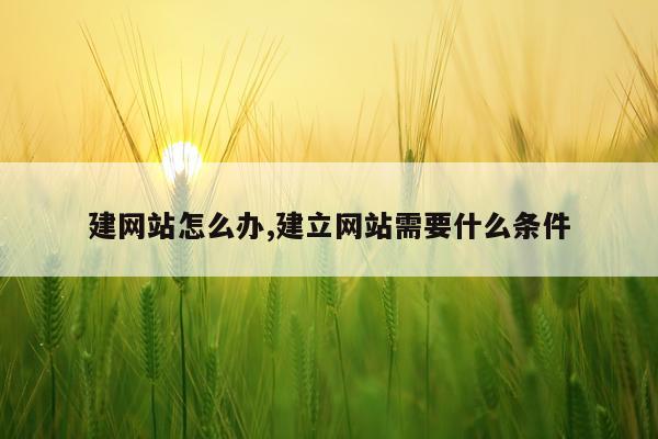 建网站怎么办,建立网站需要什么条件