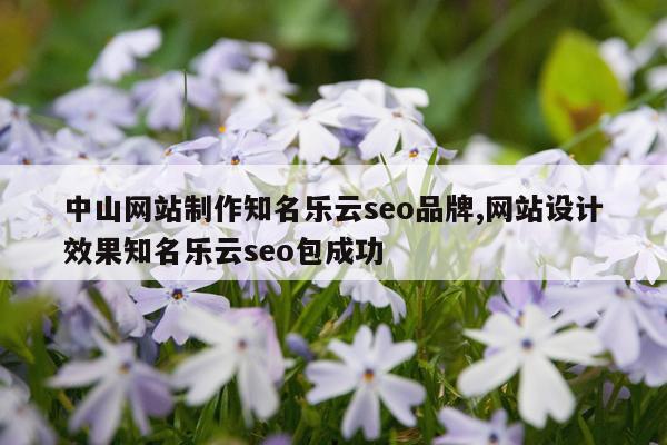中山网站制作知名乐云seo品牌,网站设计效果知名乐云seo包成功