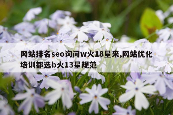 网站排名seo询问w火18星来,网站优化培训都选b火13星规范