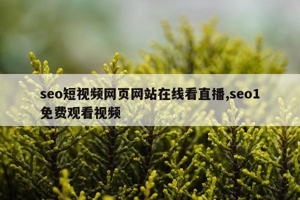 seo短视频网页网站在线看直播,seo1免费观看视频