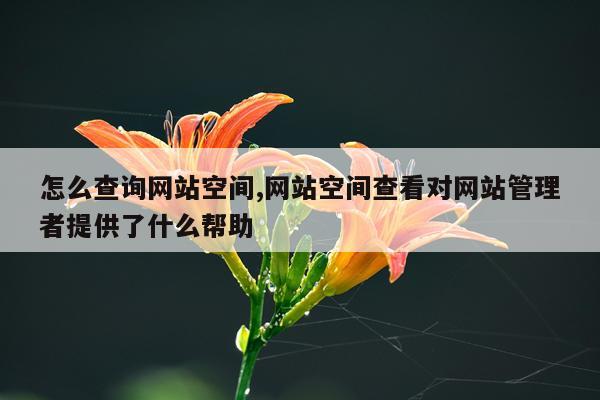 怎么查询网站空间,网站空间查看对网站管理者提供了什么帮助