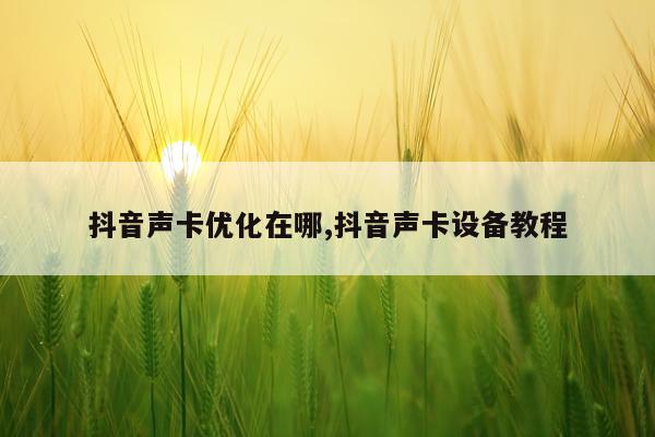 抖音声卡优化在哪,抖音声卡设备教程
