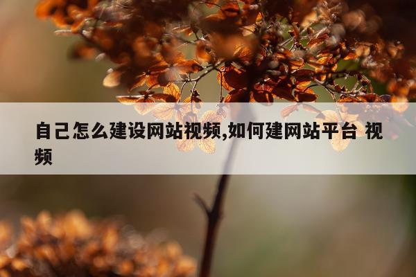 自己怎么建设网站视频,如何建网站平台 视频