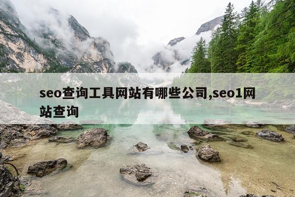 seo查询工具网站有哪些公司,seo1网站查询