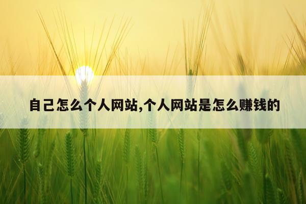 自己怎么个人网站,个人网站是怎么赚钱的