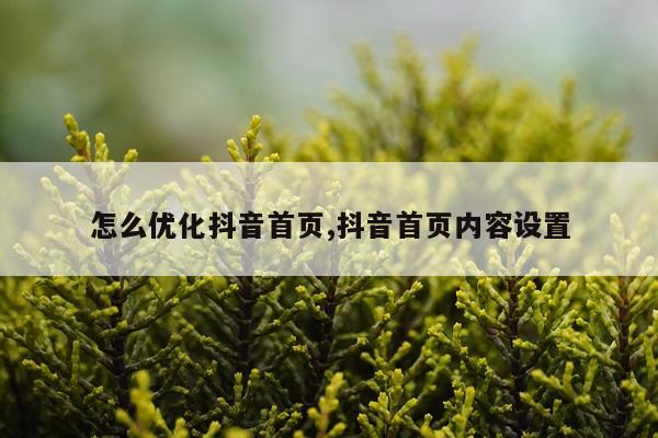 怎么优化抖音首页,抖音首页内容设置