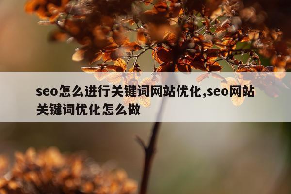 seo怎么进行关键词网站优化,seo网站关键词优化怎么做