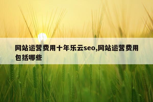 网站运营费用十年乐云seo,网站运营费用包括哪些