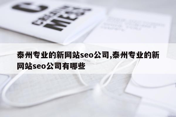 泰州专业的新网站seo公司,泰州专业的新网站seo公司有哪些