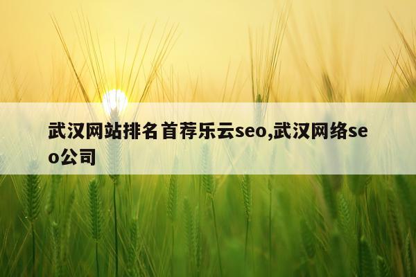 武汉网站排名首荐乐云seo,武汉网络seo公司