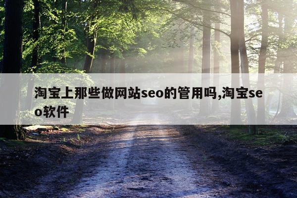 淘宝上那些做网站seo的管用吗,淘宝seo软件