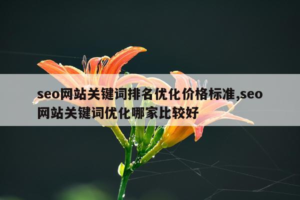seo网站关键词排名优化价格标准,seo网站关键词优化哪家比较好
