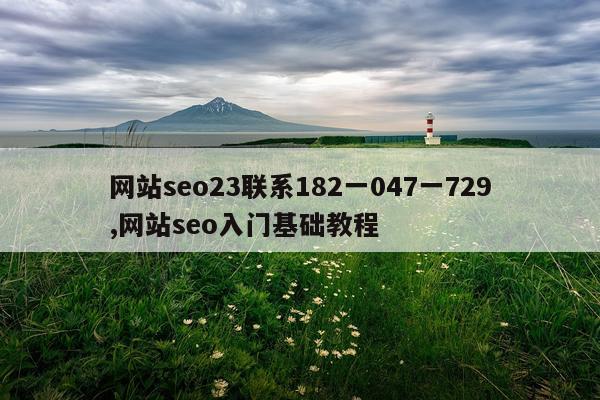 网站seo23联系182一047一729,网站seo入门基础教程