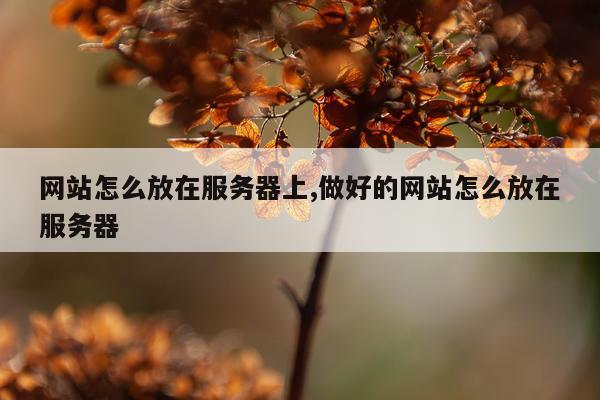 网站怎么放在服务器上,做好的网站怎么放在服务器