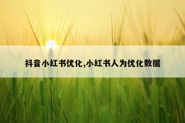 抖音小红书优化,小红书人为优化数据