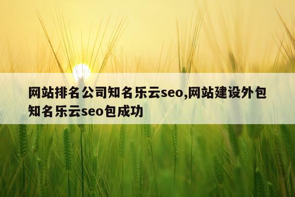 网站排名公司知名乐云seo,网站建设外包知名乐云seo包成功