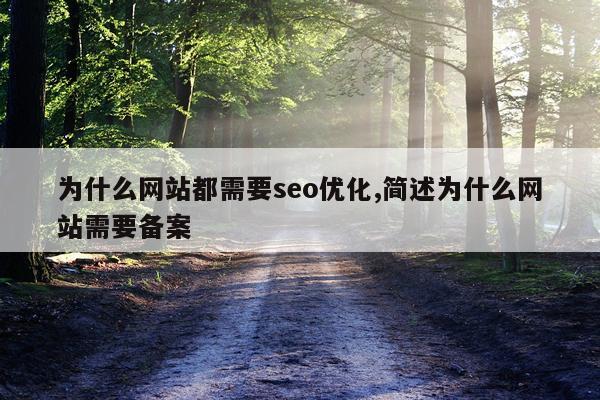 为什么网站都需要seo优化,简述为什么网站需要备案
