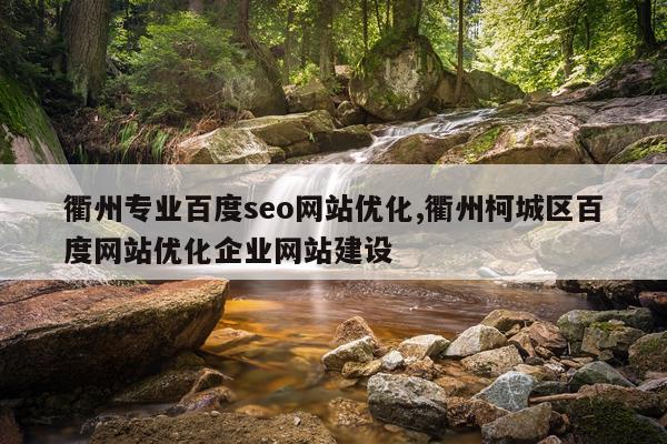 衢州专业百度seo网站优化,衢州柯城区百度网站优化企业网站建设