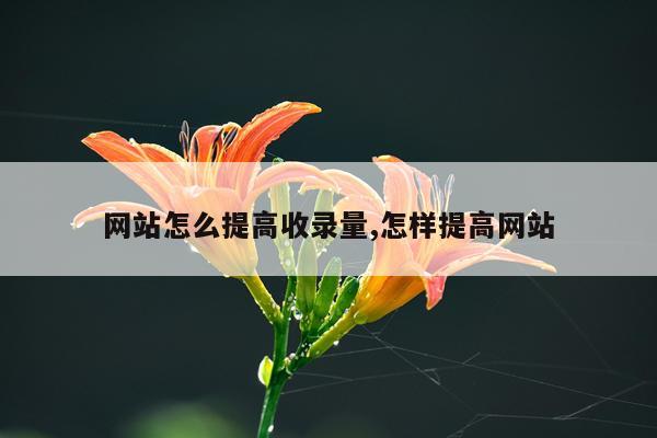 网站怎么提高收录量,怎样提高网站